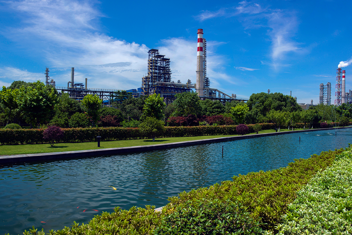 Company Profile